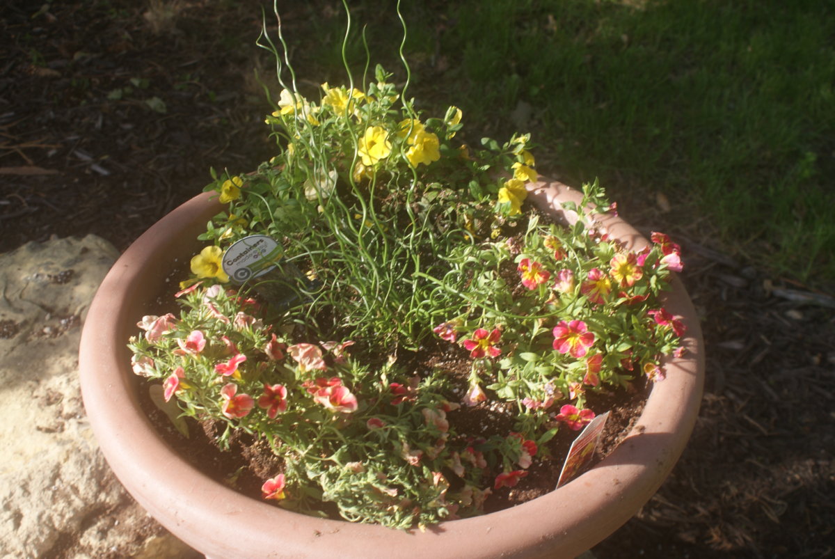 DSC04104.JPG