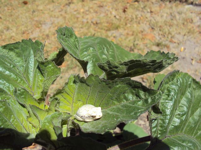 DSC04191.jpg