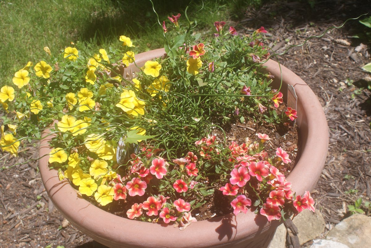 DSC04249.JPG