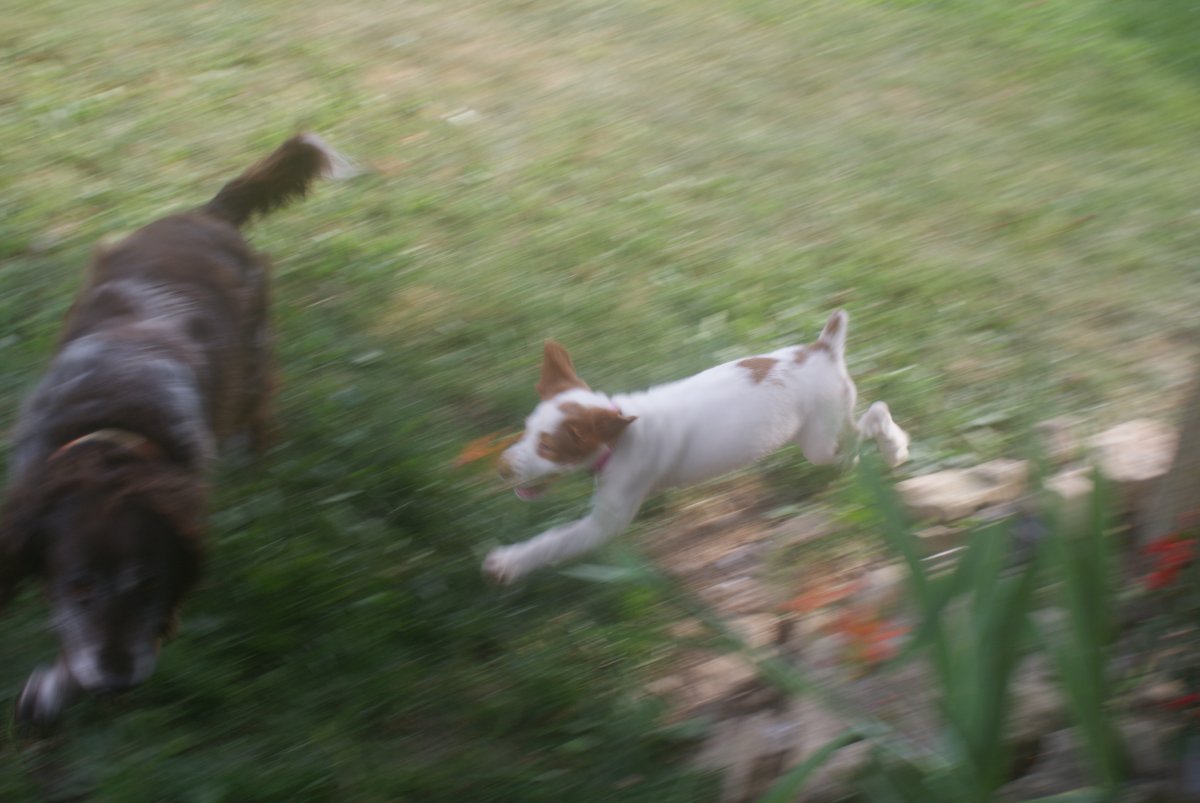 DSC04636.JPG