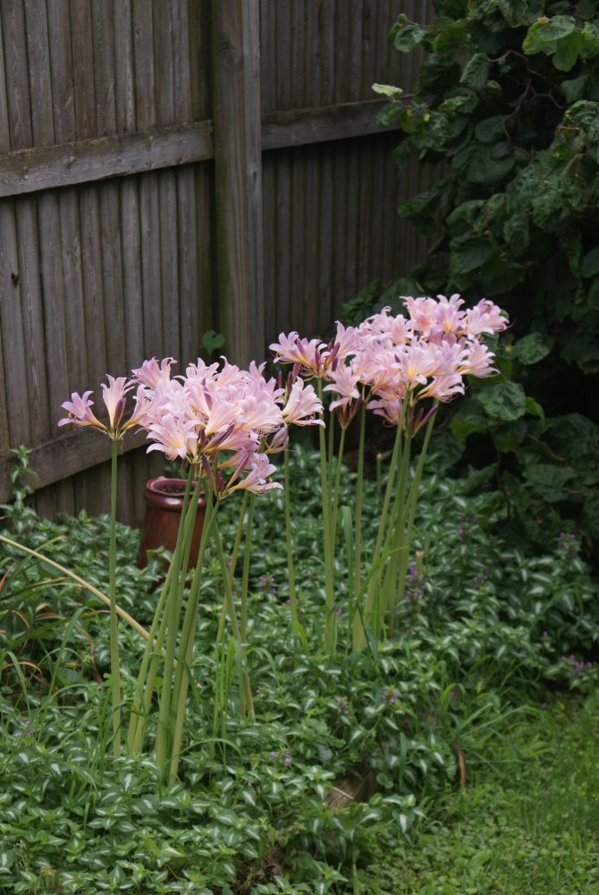 DSC04648.JPG