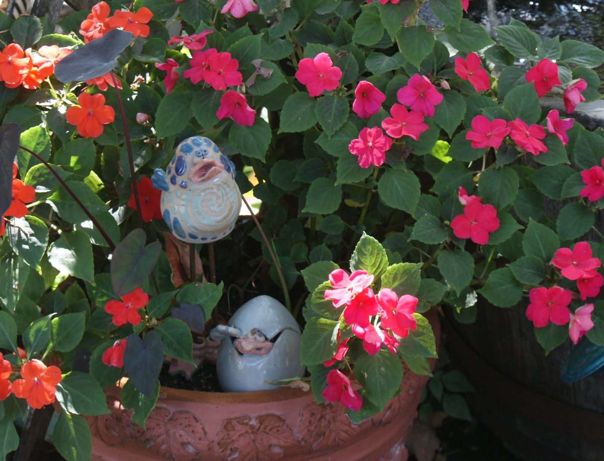 DSC04794.JPG