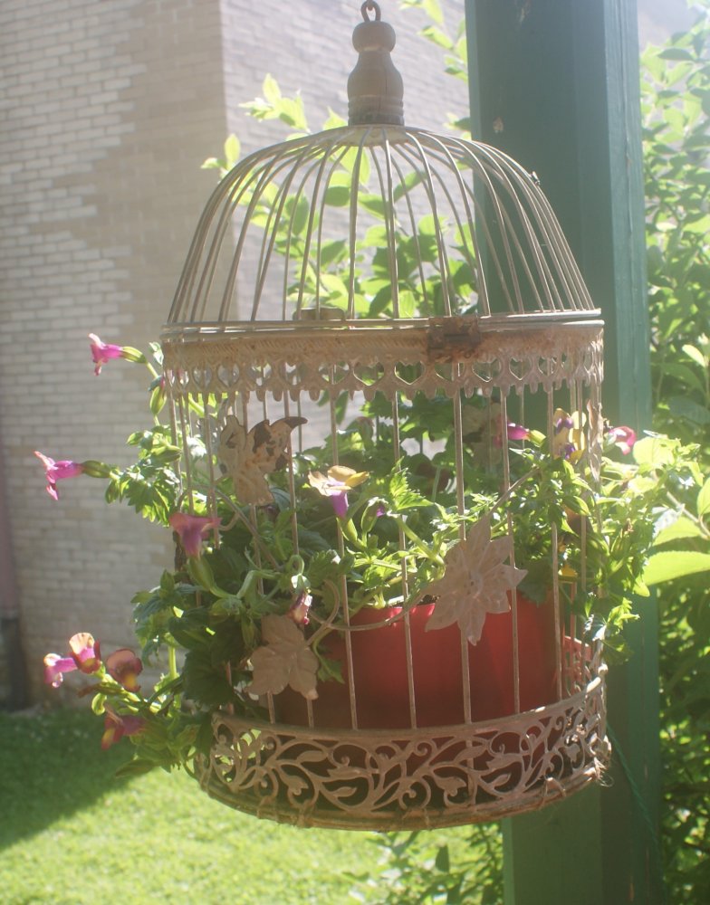 DSC05077.JPG