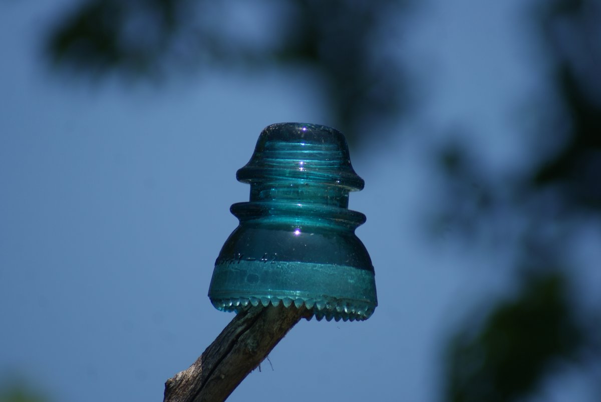 DSC05304.JPG