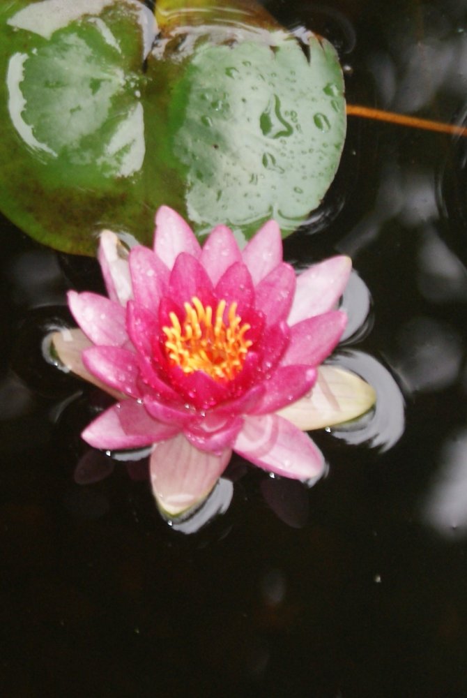 DSC07017.JPG