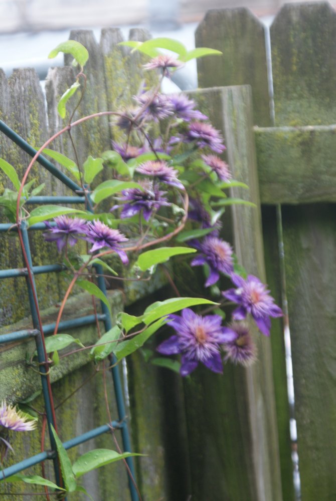 DSC07019.JPG