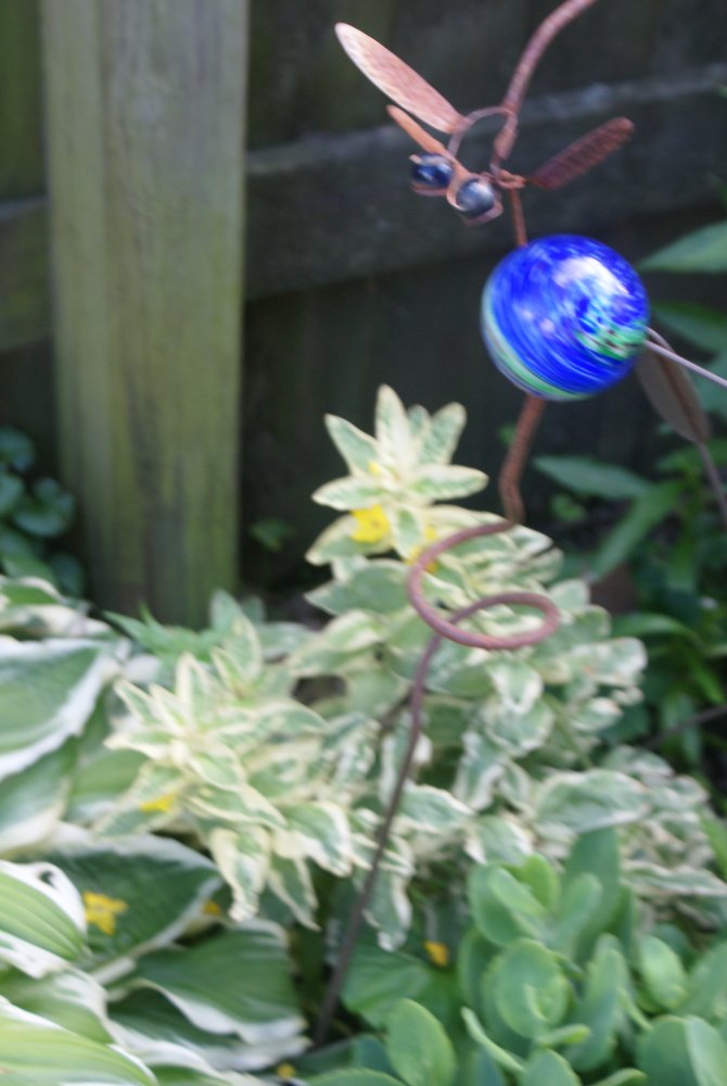 DSC07066.JPG