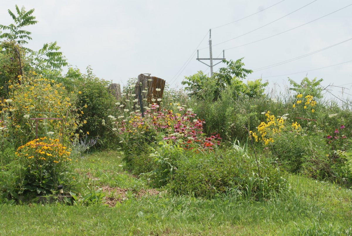 DSC07671.JPG