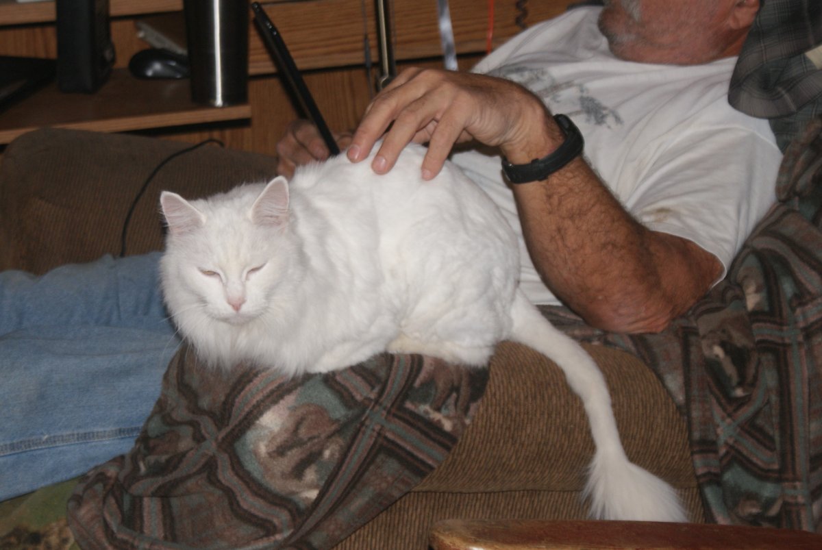 DSC08262.JPG
