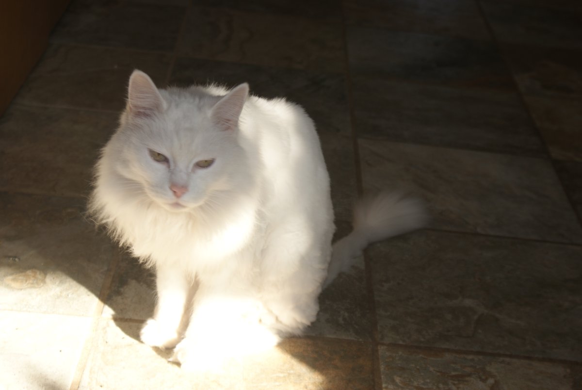 DSC08271.JPG