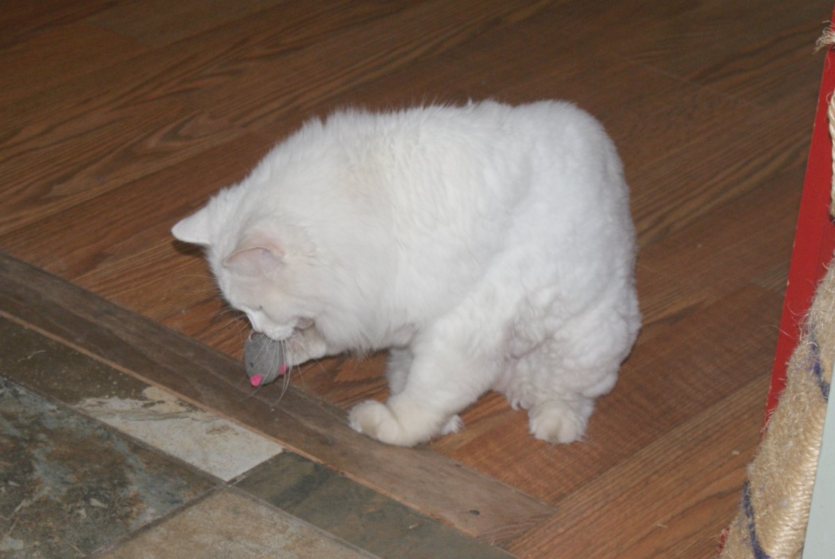 DSC08274.JPG