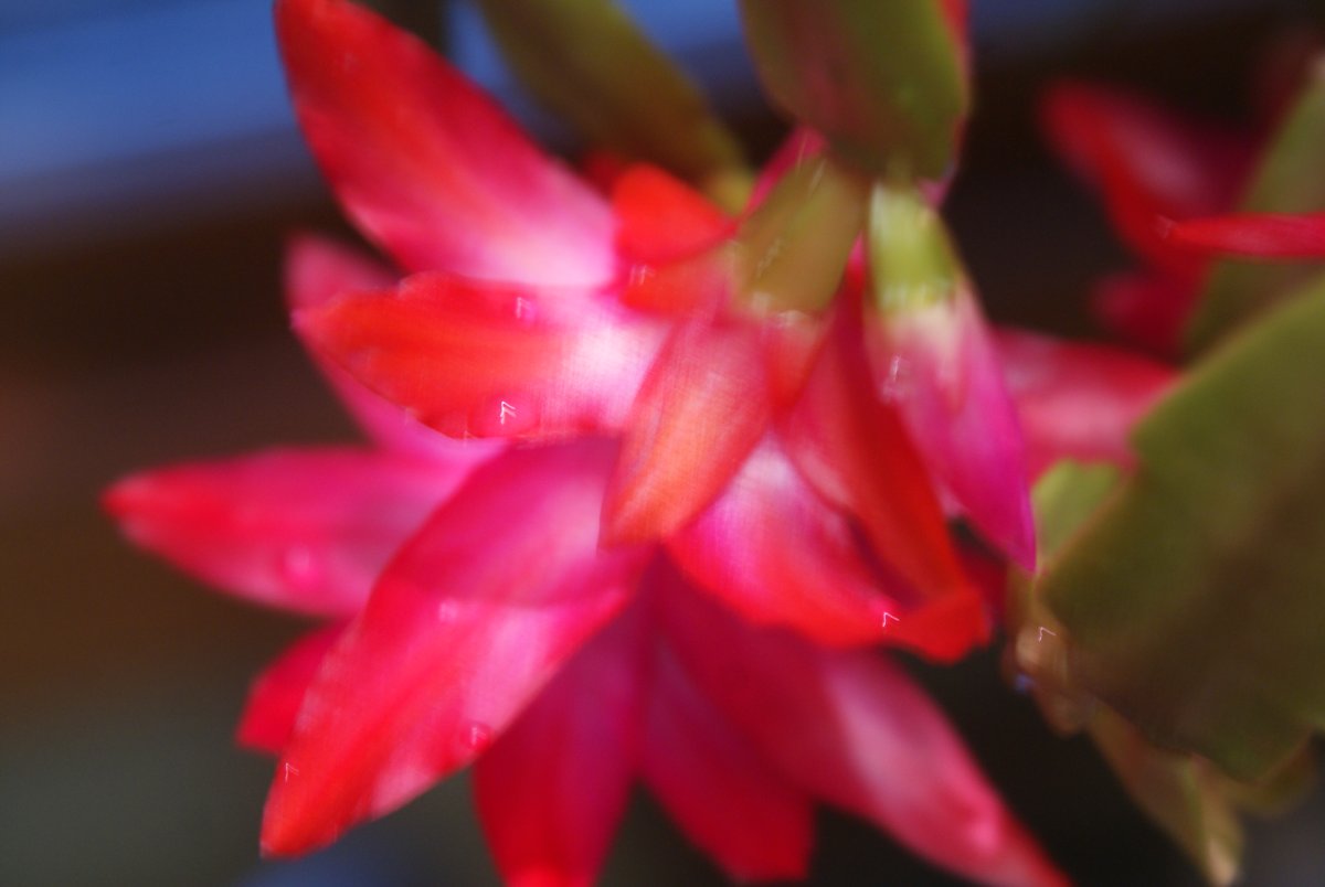 DSC08563.JPG