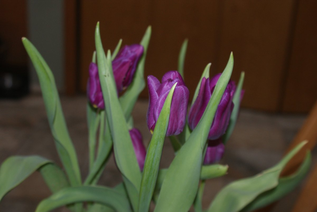 DSC09228.JPG