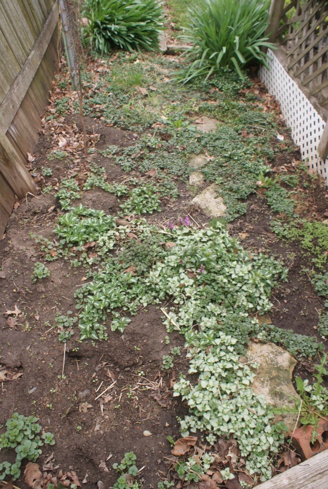 DSC09479.JPG