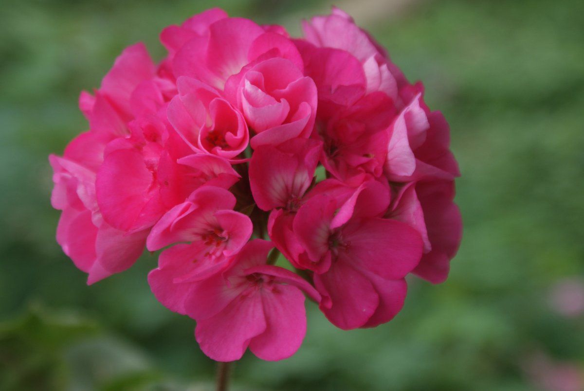 DSC09678.JPG