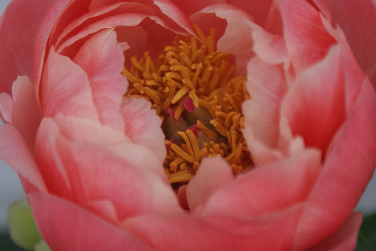 DSC09927.JPG