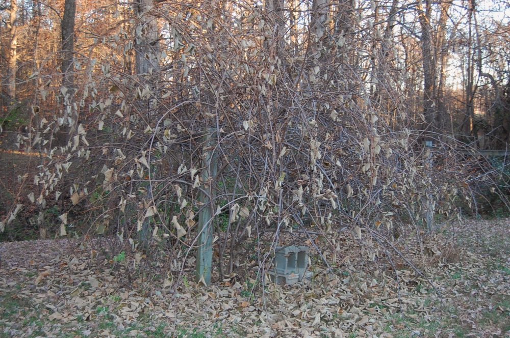 DSC_0001.JPG
