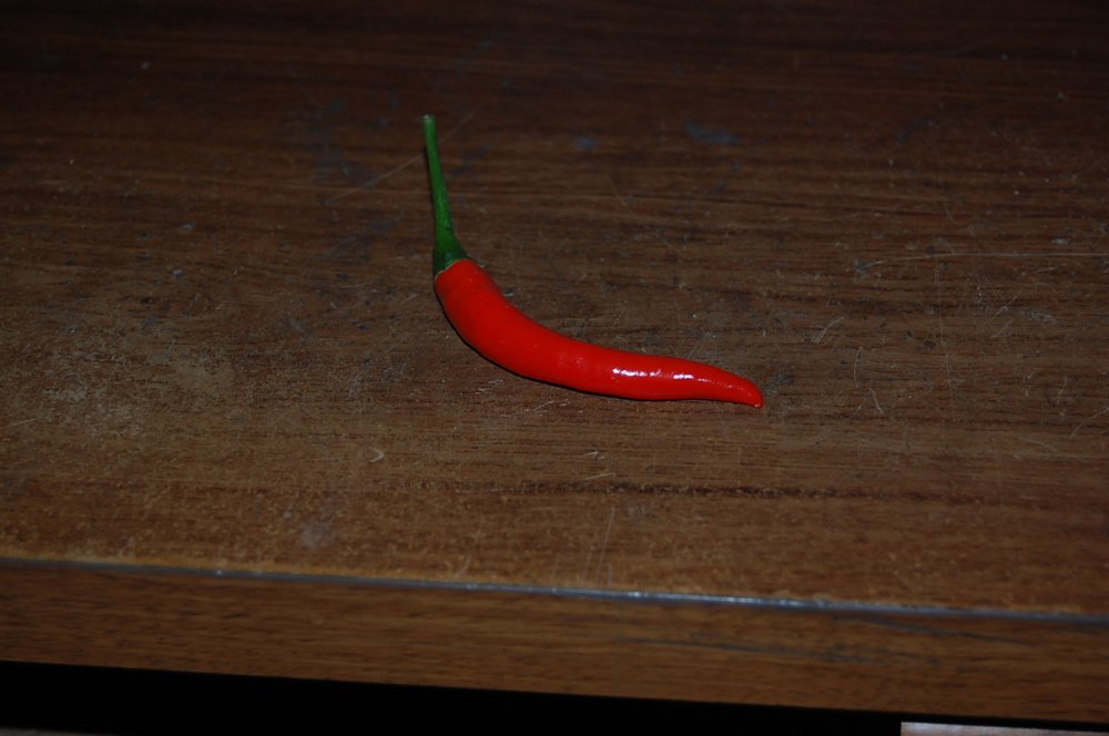 DSC_0001.JPG
