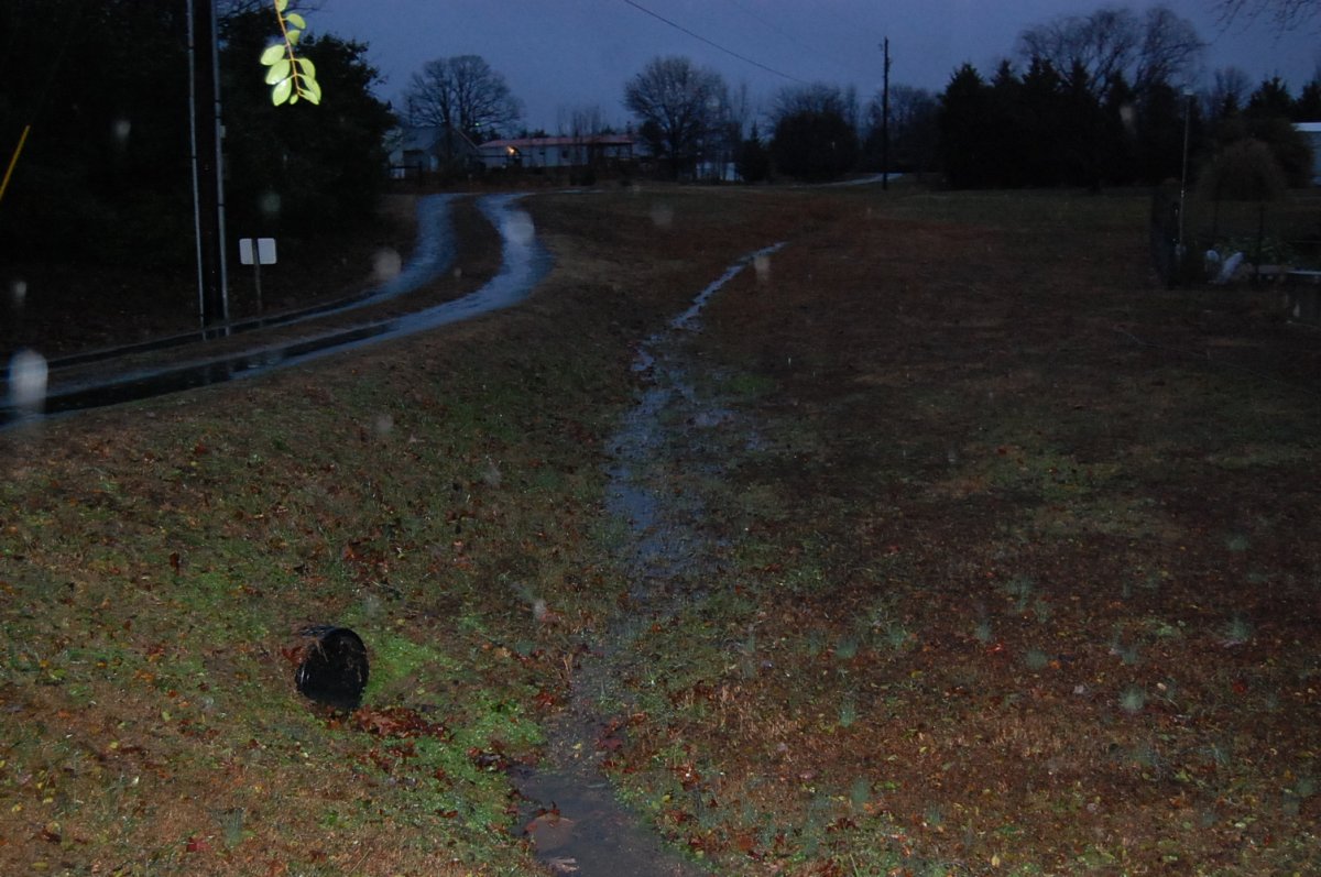 DSC_0003.JPG