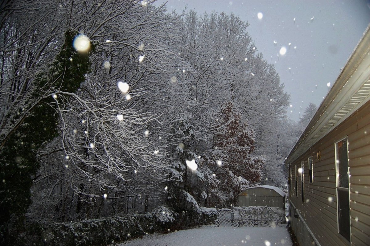 DSC_0003.JPG