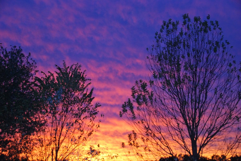 DSC_0003.JPG
