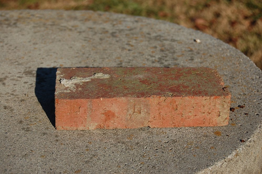 DSC_0004.JPG