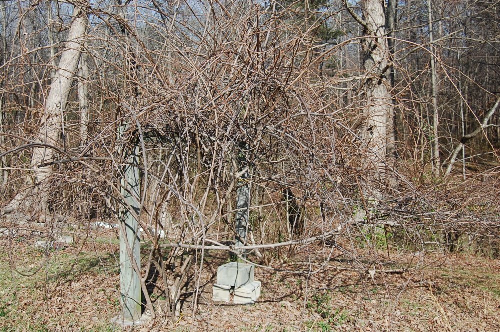 DSC_0005.JPG