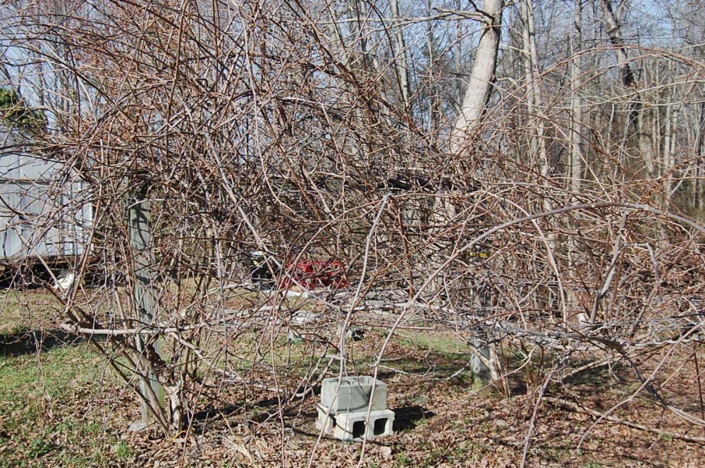 DSC_0006.JPG