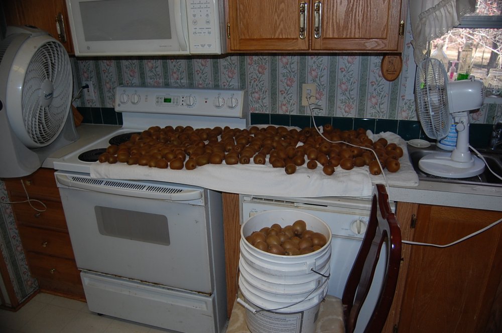 DSC_0007.JPG