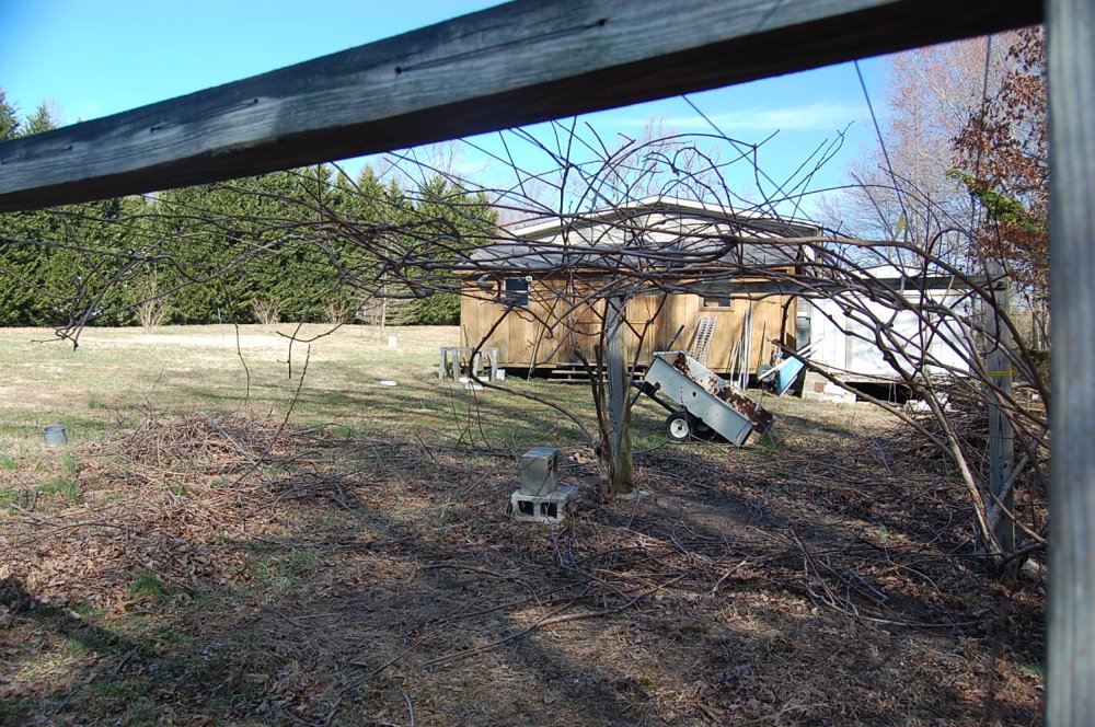 DSC_0007.JPG