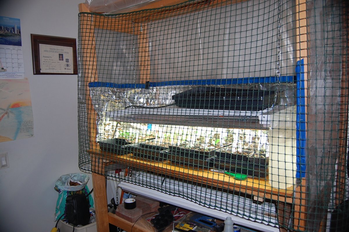 DSC_0007.JPG