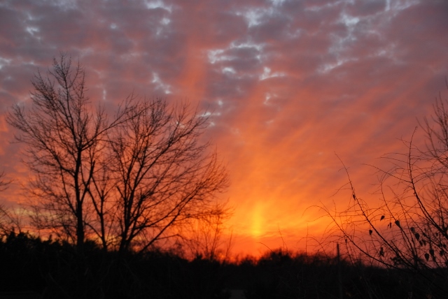 DSC_0008 (640x428).jpg