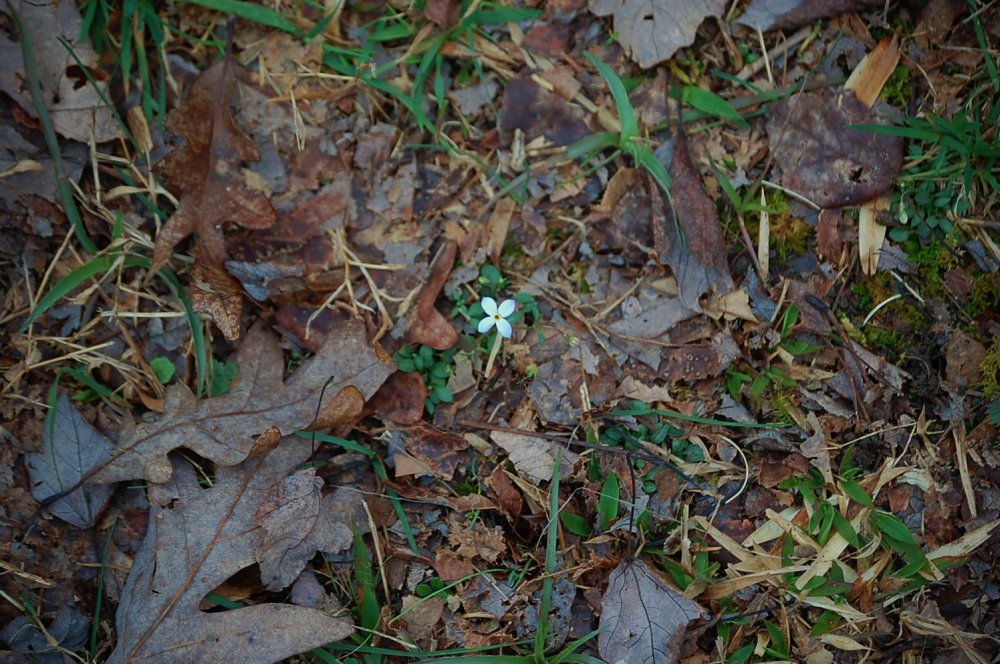 DSC_0008.JPG