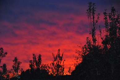 DSC_0008.JPG