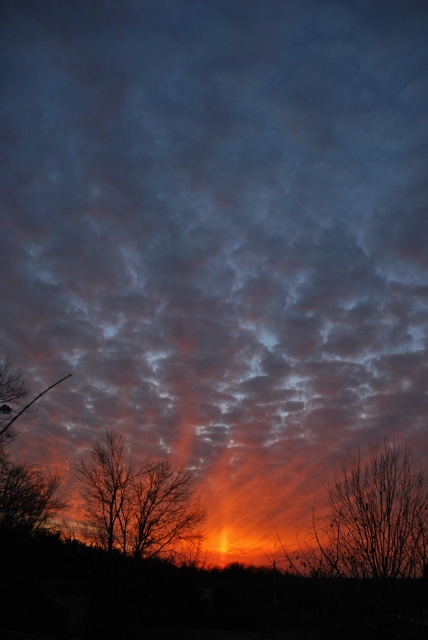 DSC_0010 (428x640).jpg
