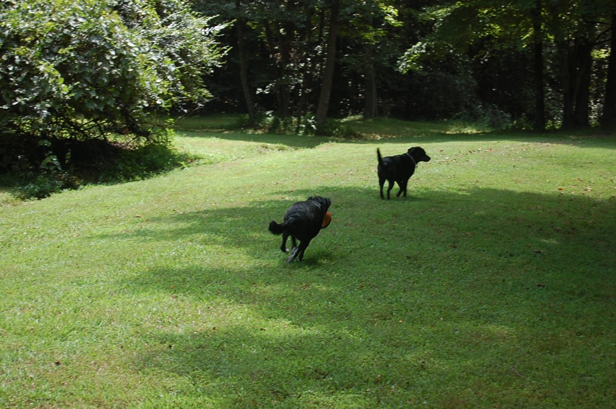 DSC_0011.JPG
