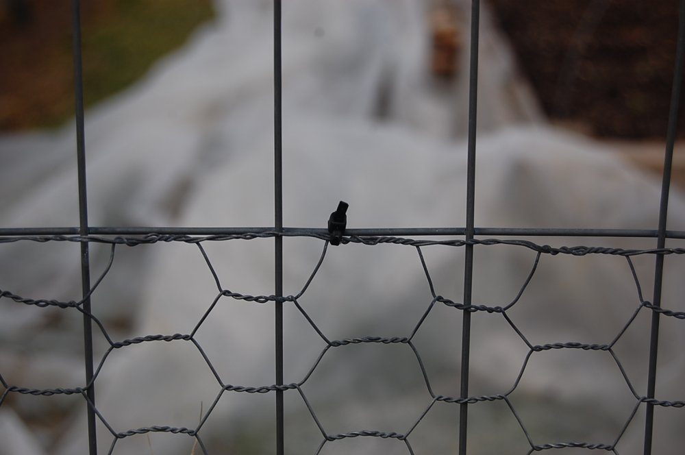 DSC_0012.JPG