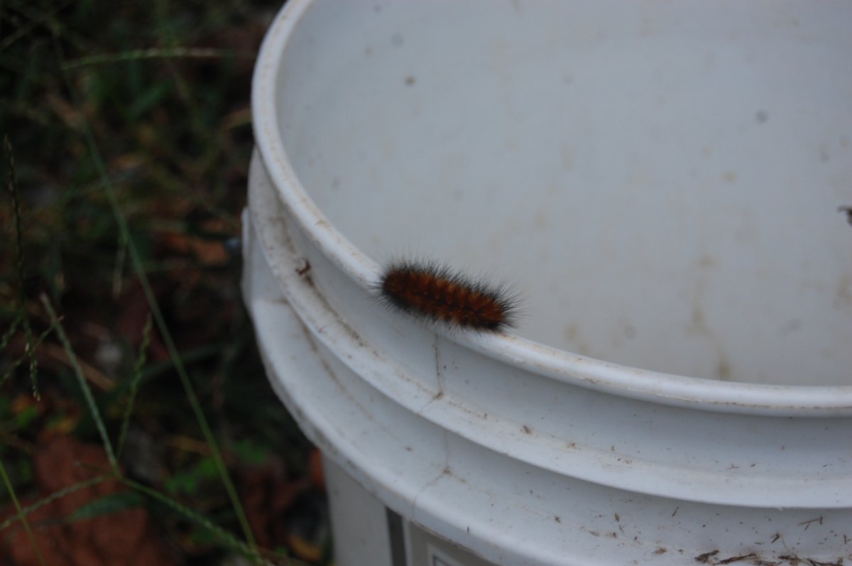 DSC_0012.JPG