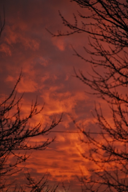 DSC_0013 (428x640).jpg