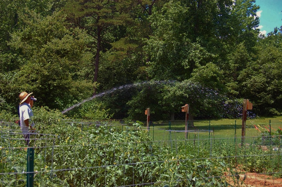 DSC_0013.JPG