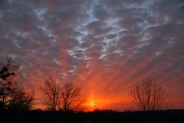 DSC_0014 (640x428).jpg