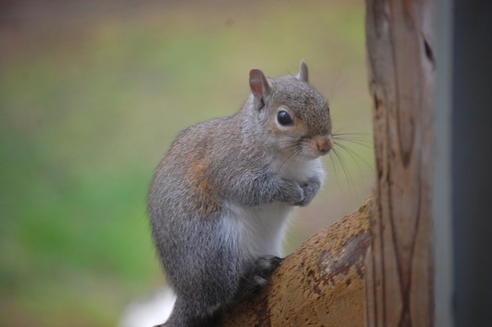 DSC_0014.JPG