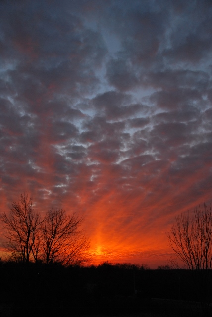 DSC_0015 (428x640) (2).jpg