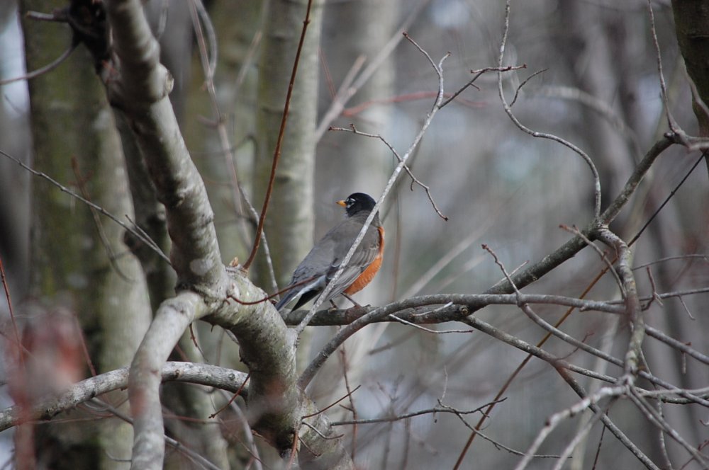 DSC_0015.JPG