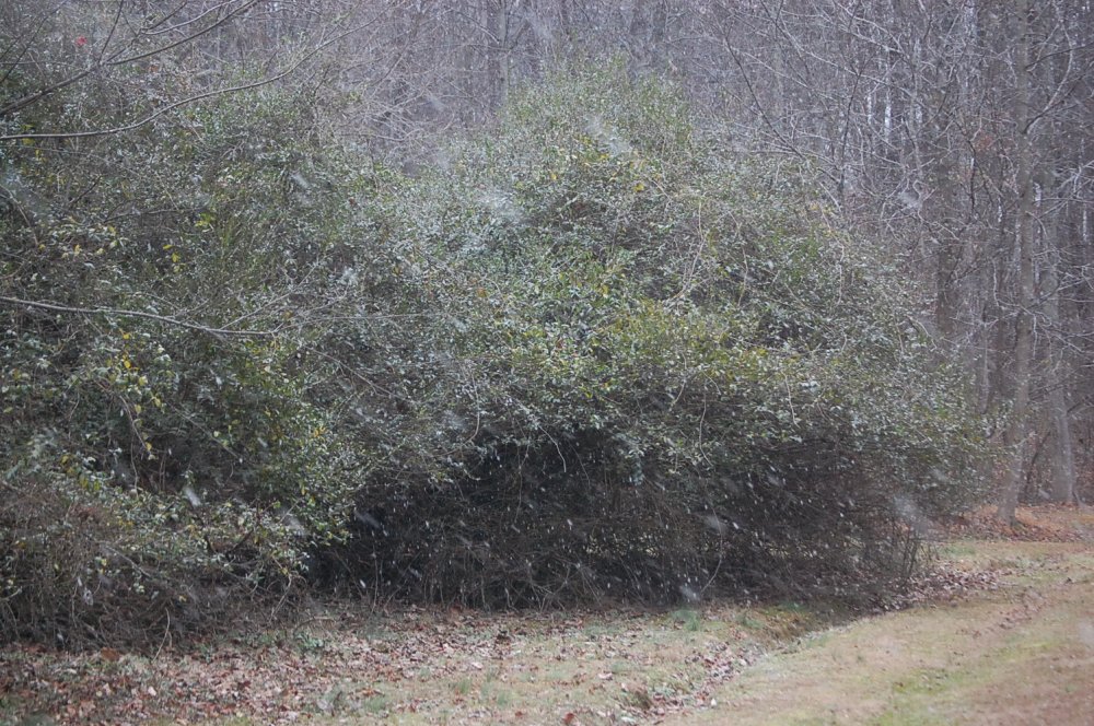 DSC_0015.JPG