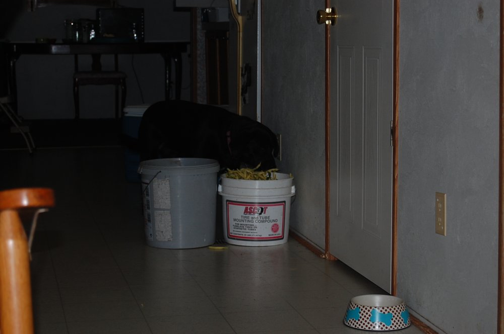 DSC_0015.JPG