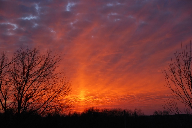 DSC_0016 (640x428).jpg
