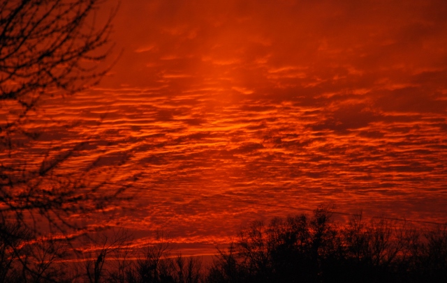 DSC_0017 (640x406).jpg