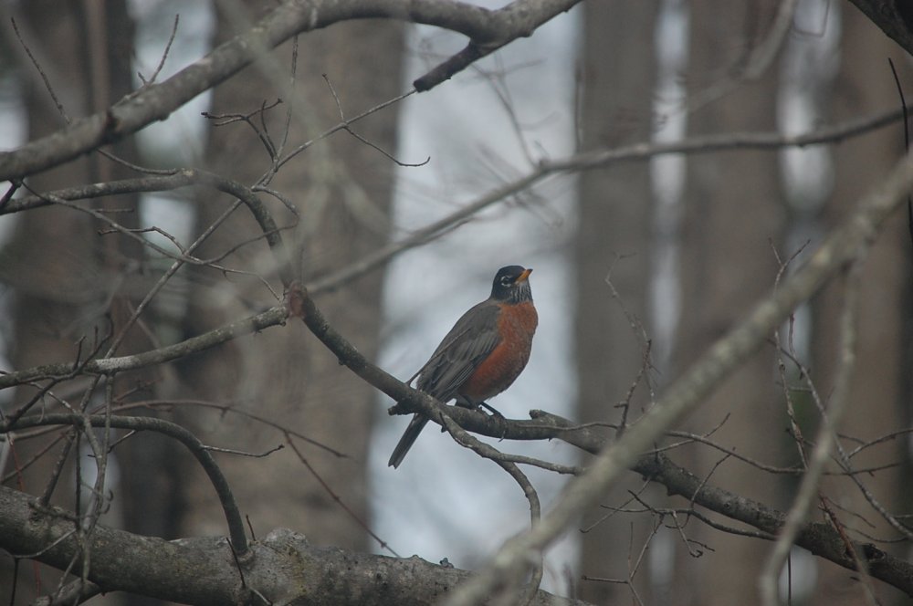 DSC_0017.JPG