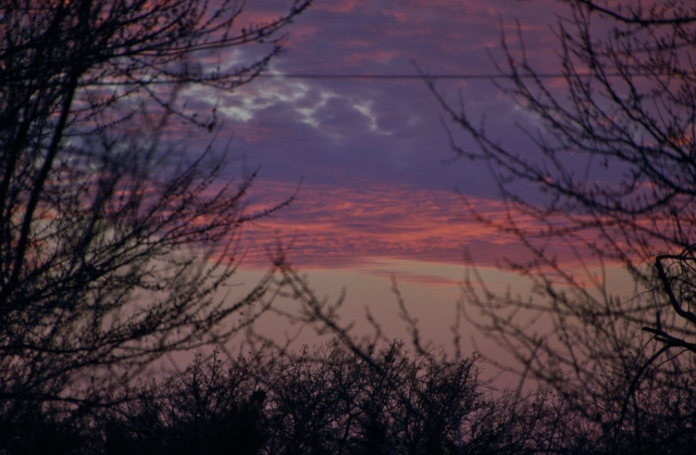 DSC_0018 (640x419).jpg
